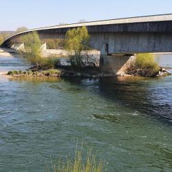 Le Bord De Loire