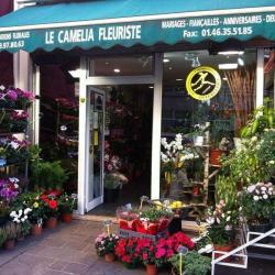 Le Camelia Fleursiste
