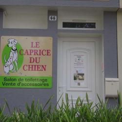 Le Caprice Du Chien