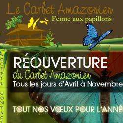 Le Carbet Amazonien