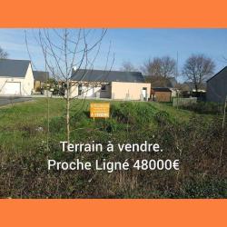 Le Cellier Immobilier