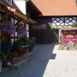 Le Cep D'or