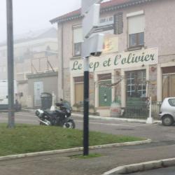 Le Cep Et L'olivier