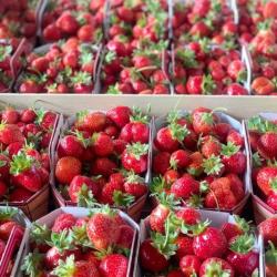 Le Cercle Des Producteurs