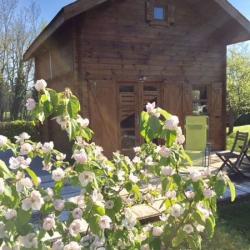 Le Chalet Cinéma - Gîtes De France