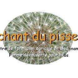 Le Chant Du Pissenlit