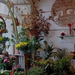 Le Chardon - Fleuriste
