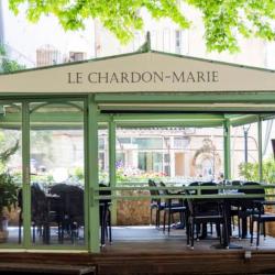 Le Chardon-marie