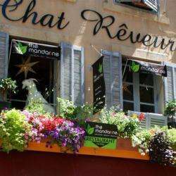 Le Chat Rêveur
