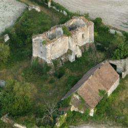 Le Château De Montfaucon