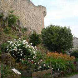 Le Château Du Hohlandsbourg