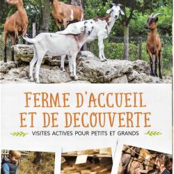 Le Chaudron Magique