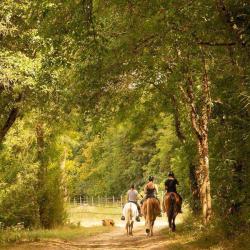Le Cher à Cheval