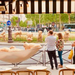 Le Choupinet