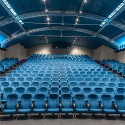 Le Cinéma Des Cinéastes