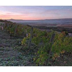 Le Clos Des Monts