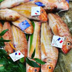 Le Club Du Poisson