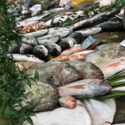 Le Club Du Poisson