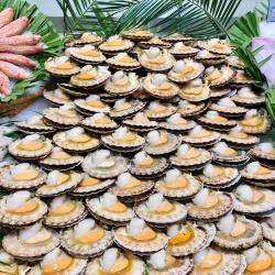 Le Club Du Poisson