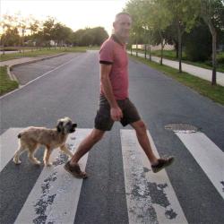 Le Code Canin