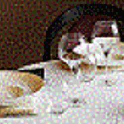 Le Comptoir Gourmand