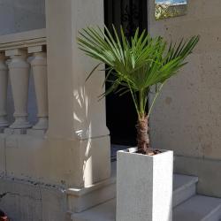 Le Conservateur