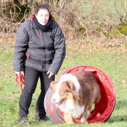 Le Coup De Patte De Chouchou