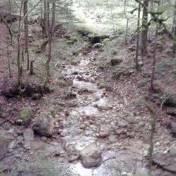 Le Creux De L'envers