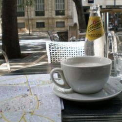 Le Cygne
