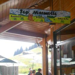 Top' Marmotte