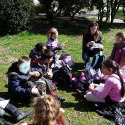 Le Déjeuner Sur L'herbe