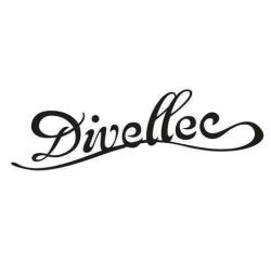 Divellec