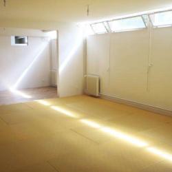 Le Dojo