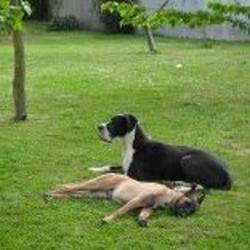 Le Domaine Calin
