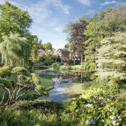 Le Domaine De Courances