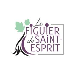 Le Figuier De Saint-esprit