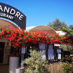 Le Flandre