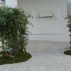 Le Geyser