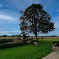 Le Gîte Du Tilleul - Gîtes De France