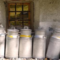 Le Gourmet Savoyard