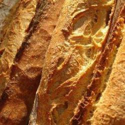 Le Gout Du Pain