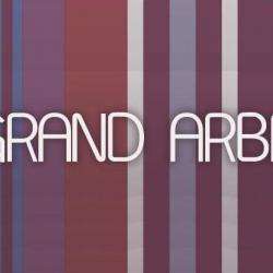Le Grand Arbre