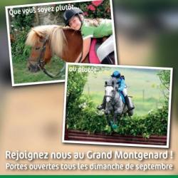 Le Grand Montgenard