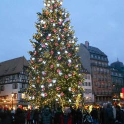 Le Grand Sapin De Noël De Strasbourg