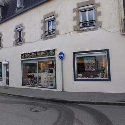 Le Hérisson Angora