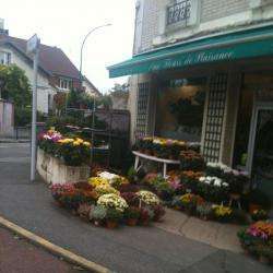Aux Fleurs De Plaisance