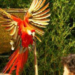 Le Jardin Aux Oiseaux