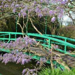 Le Jardin D'eau