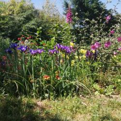 Le Jardin De Benoît