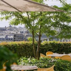 Le Jardin De Cheval Blanc Paris